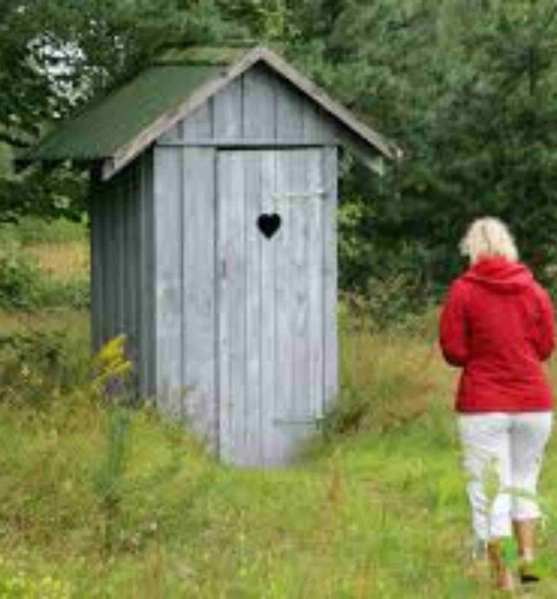 toilettes seches