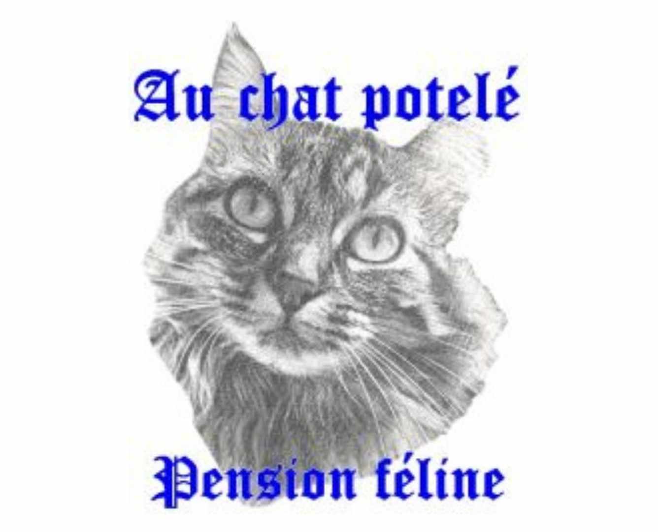 Au Chat Potelé