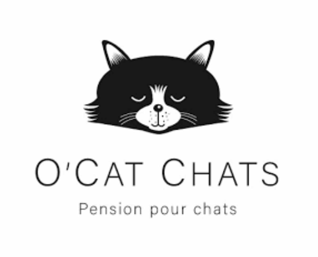 O'Cat Chats